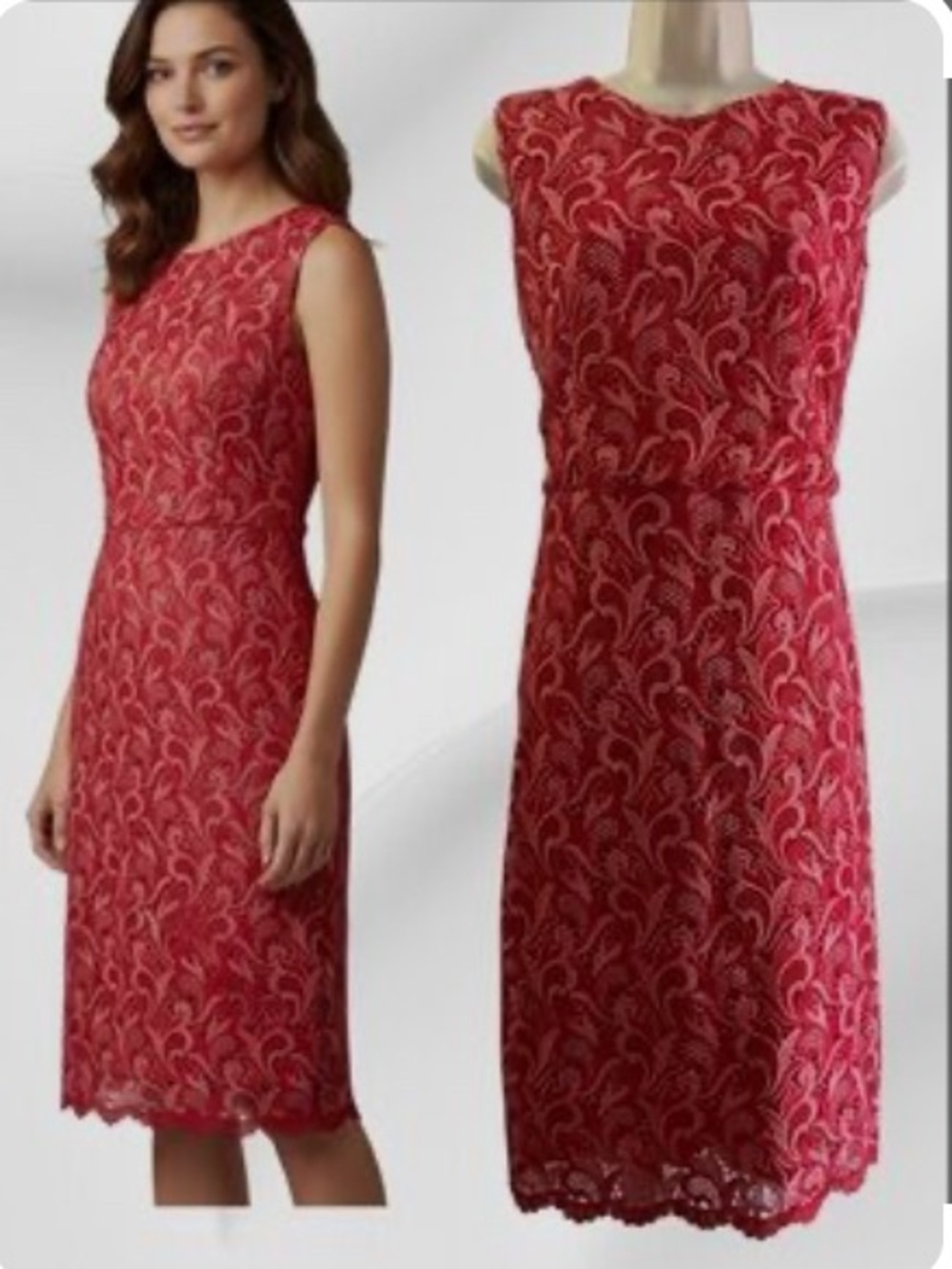 Ann Taylor Red Embroidered Lace Dress Fabric